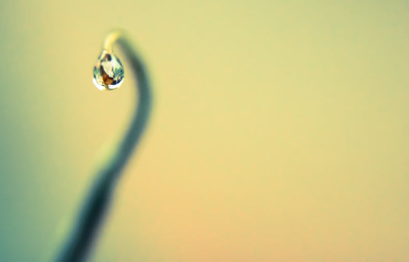 Adding to my collection 🖼️