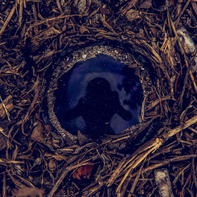 Closeup of a waist up human reflection of the photographer in a dark blue glass bottle bottom surrounded by sand, bark, and twigs
